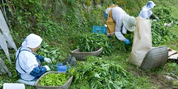 屋号説明
