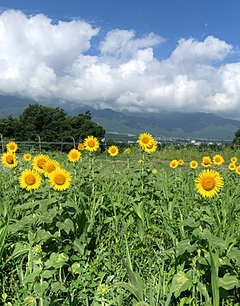 屋号説明