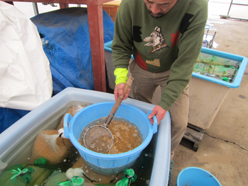屋号説明