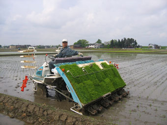 屋号説明