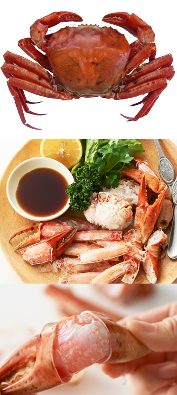 屋号説明