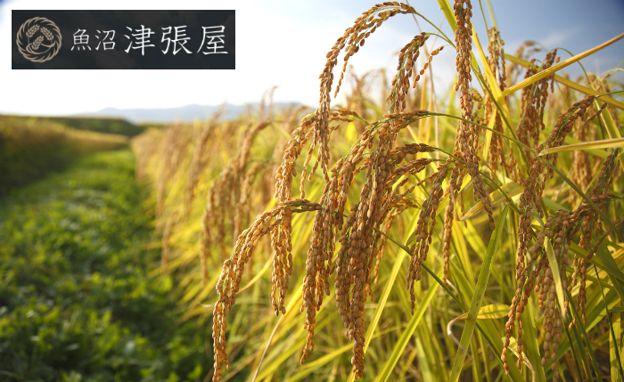 屋号説明