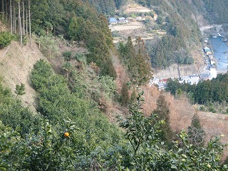 屋号説明