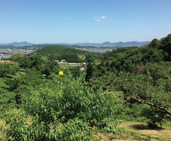 屋号説明