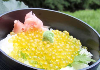 屋号説明