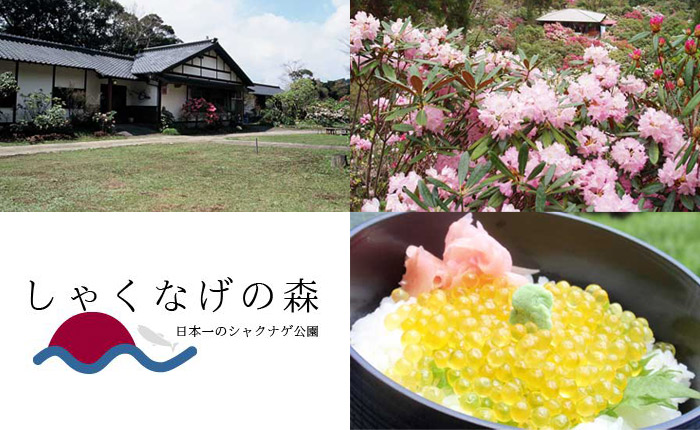 屋号説明