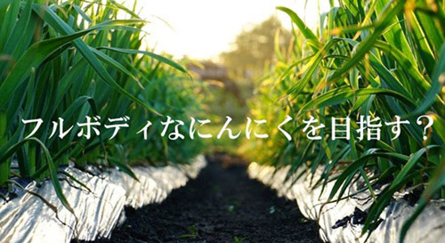 屋号説明
