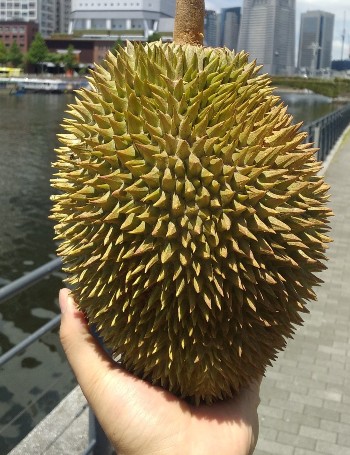 屋号説明