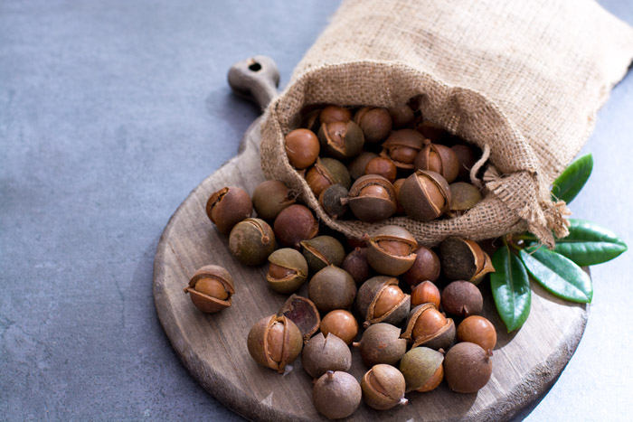 MACADAMIA NUTS ޥߥʥå