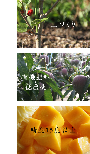 屋号説明