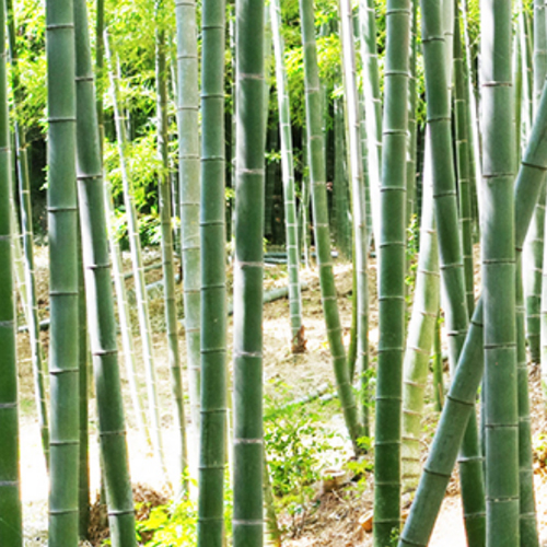 屋号説明