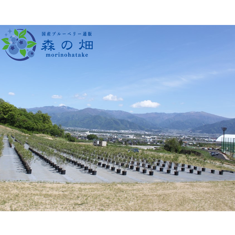 屋号説明