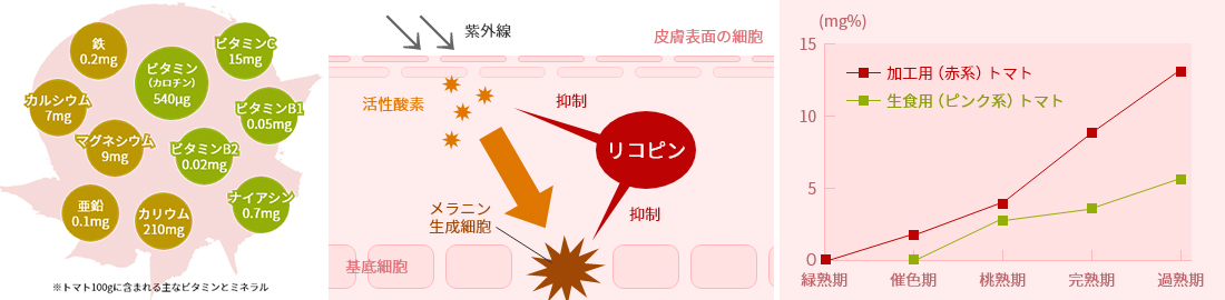 屋号説明