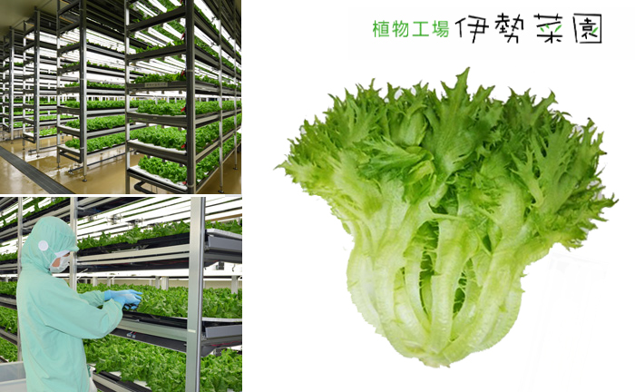 屋号説明