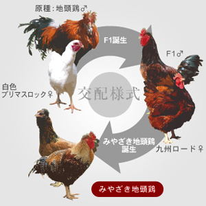 屋号説明