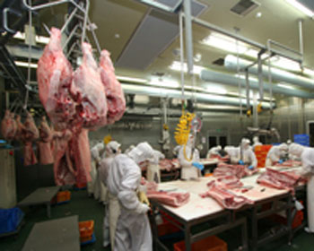 大商金山牧場 たいしょうかねやまぼくじょう 肉類 G Callショッピング 大商金山牧場 たいしょうかねやまぼくじょう 肉類 G Callショッピング