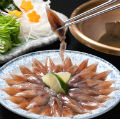 富山湾 新物ほたるいか