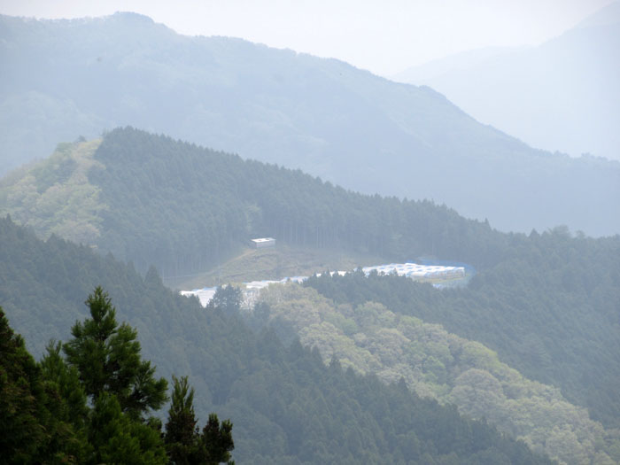 屋号説明