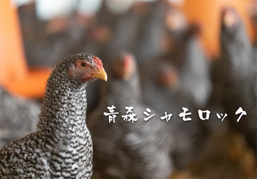 屋号説明