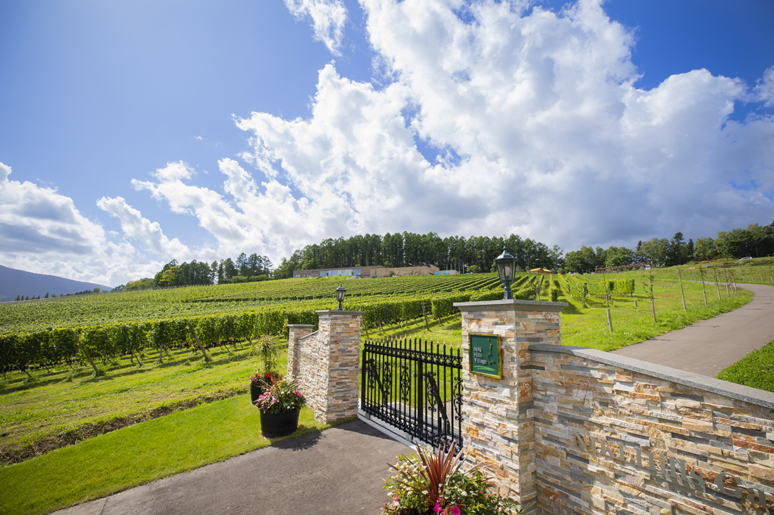 NIKI Hills Winery ˥ҥ륺磻ʥ꡼