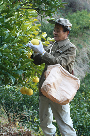 屋号説明