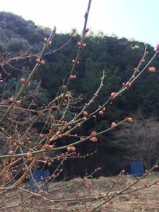 屋号説明