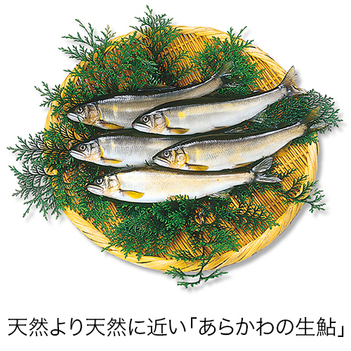 屋号説明