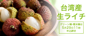���ѻ����饤��
