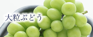 γ֤ɤ