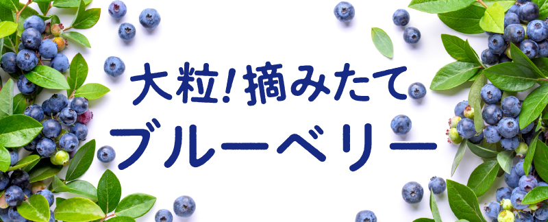 ��γ���绳�ηä�Ŧ�ߤ��ƥ֥롼�٥꡼