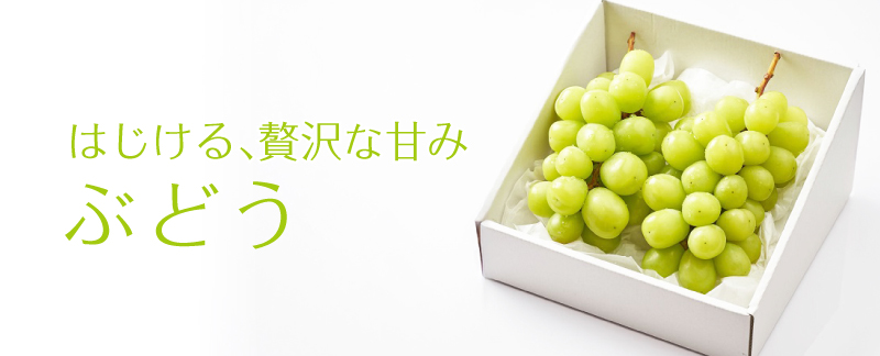 大粒ぶどう