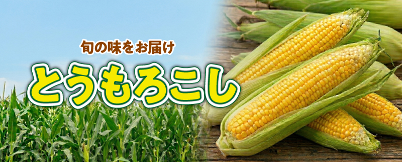 �Ȥ��������