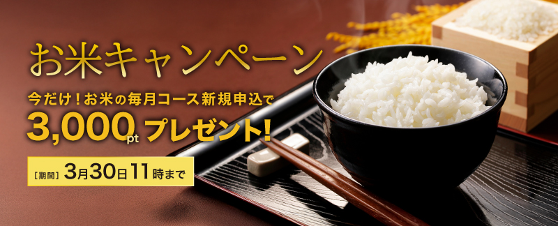 ����������3000�ݥ����