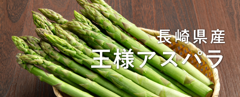 ���ͥ����ѥ�