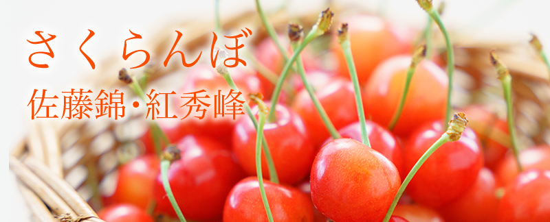  ƣӡȽ