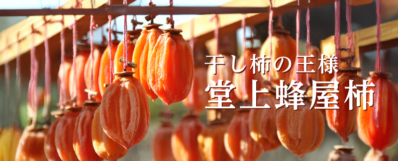 堂上蜂屋柿