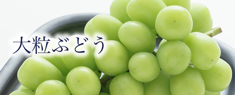 γ֤ɤ