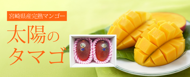 ���ۤΥ��ޥ�