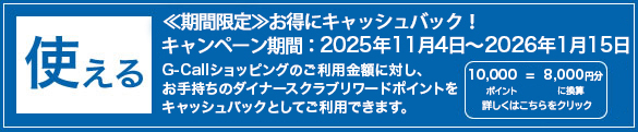 ポイント使える
