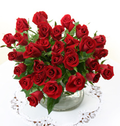 真紅の薔薇 花 植物 G Callショッピング