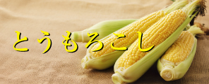 �Ȥ��������