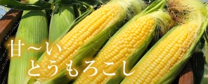 ߤҤ