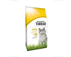 åȥաɥ