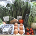 「あんしん野菜」お試しセット