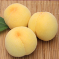�������δ�������<br>�㲫��̼��ʤ��ߤ���