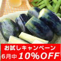 10%OFFڡ 
<br>ΤʤʤҤ