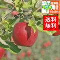 вٳϡ
<br>ŷڤ󤴥ե 
<br>ռ餺ȶ̢