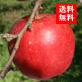 ŷڤ󤴥ե
<br>ռ餺󥸥ʥɡ