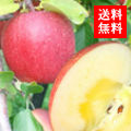 ŷڤ󤴥ե 
<br>դȤ餺դ