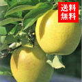 ŷڤ󤴥ե 
<br>դȤ餺Ӣ